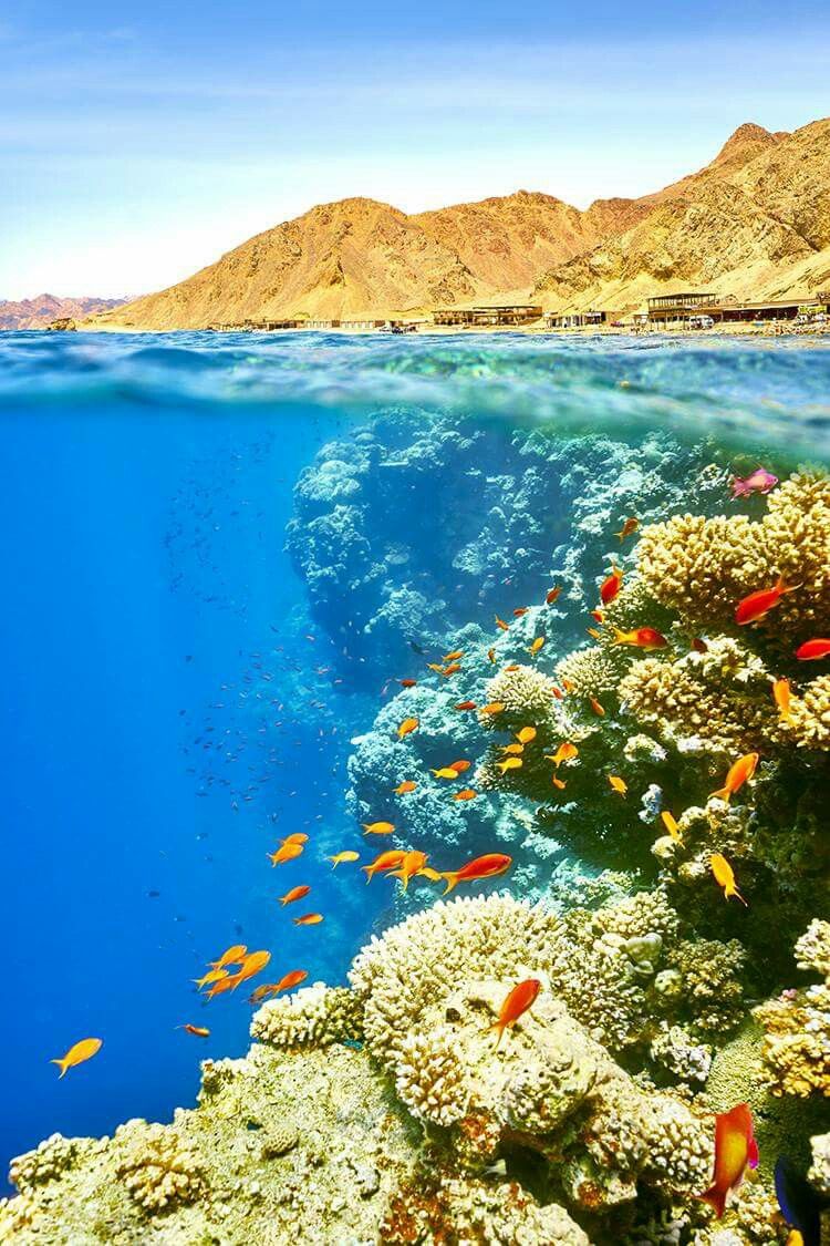 Sharm El-Sheikh